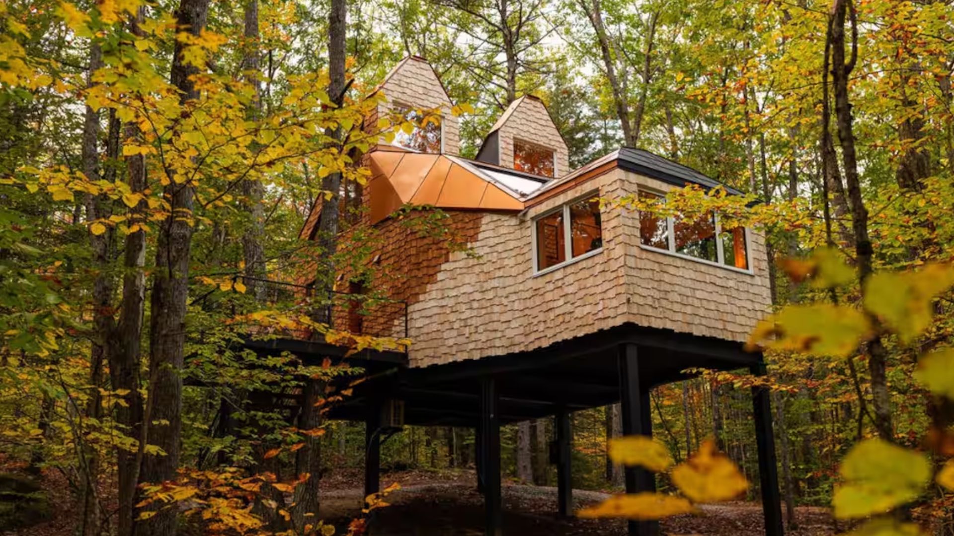 unusual treehouse shaped like a fox head with same colors as the fox, copper roof, and ears, windows strategically placed to remind of a real animal