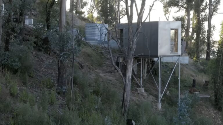 unique exterior of a treehouse container