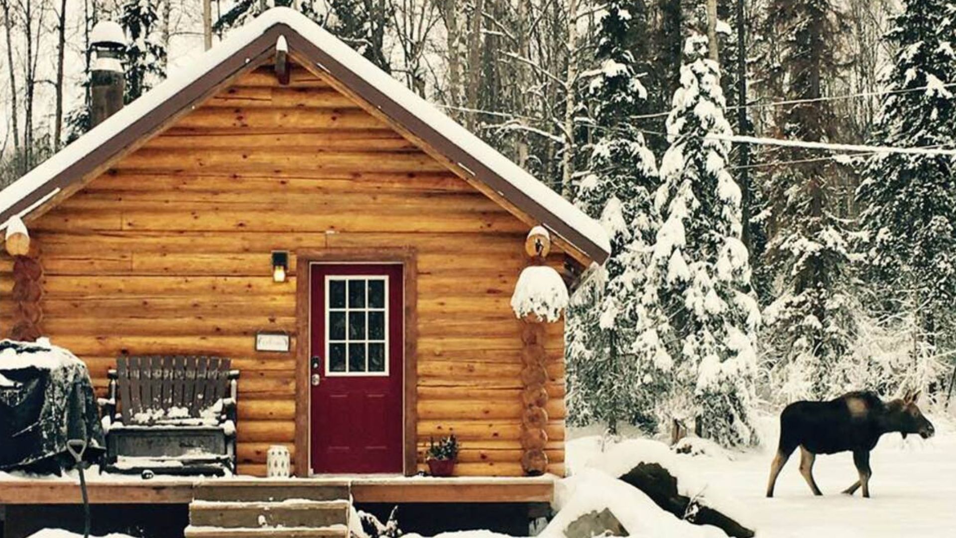 Log cabin with a front porch and a red front door in snow time with a reindeer on the right