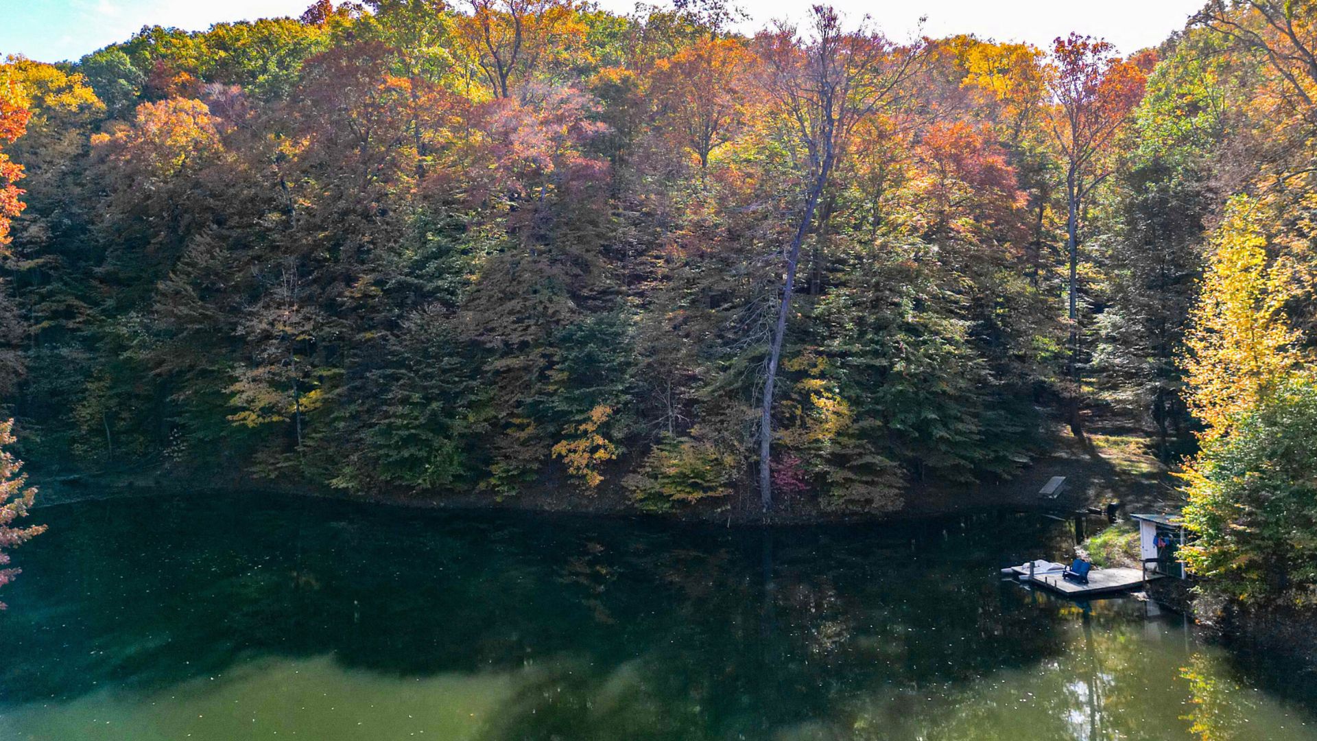 beautiful nature around the cabin