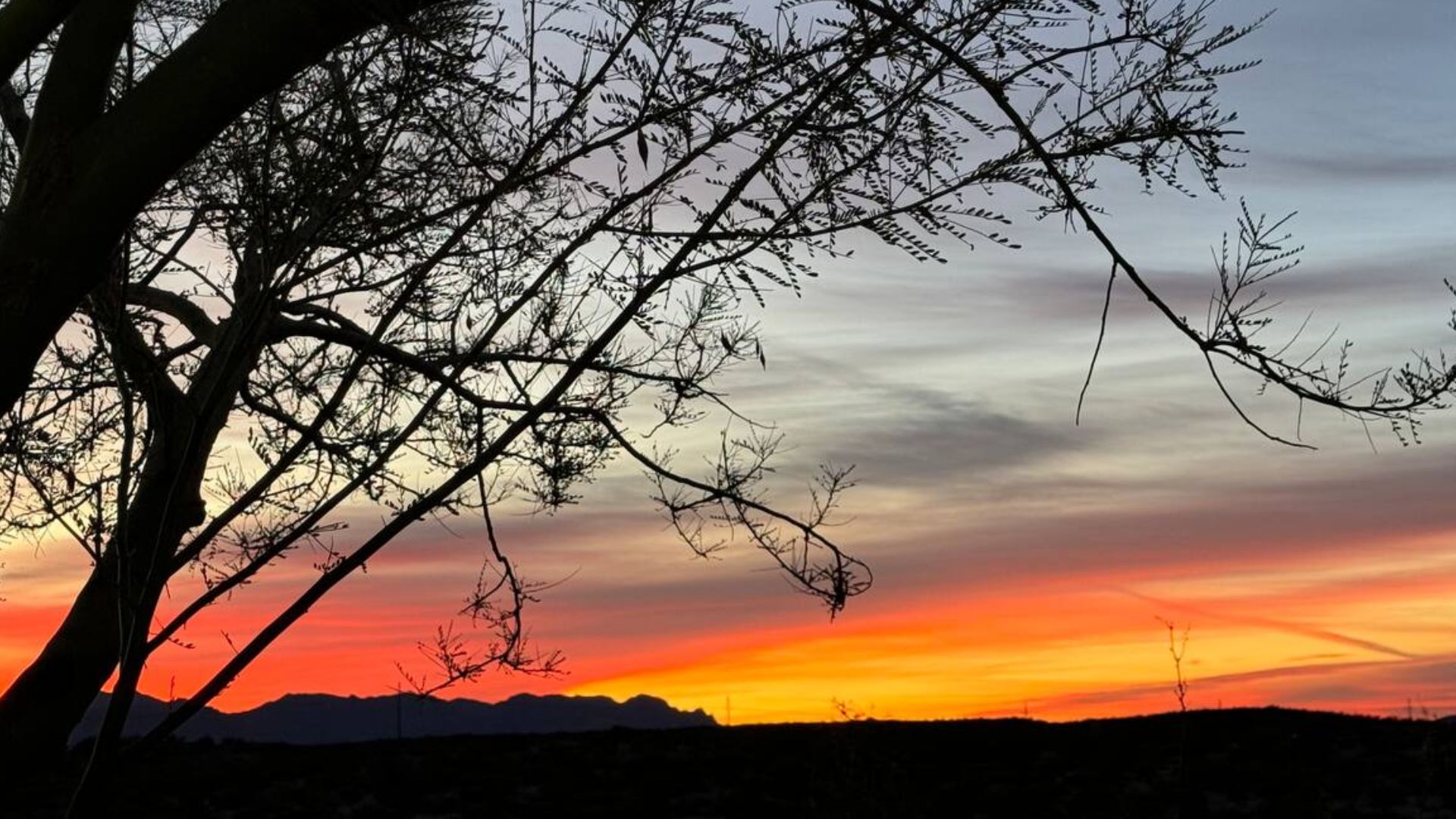 sunset in the desert