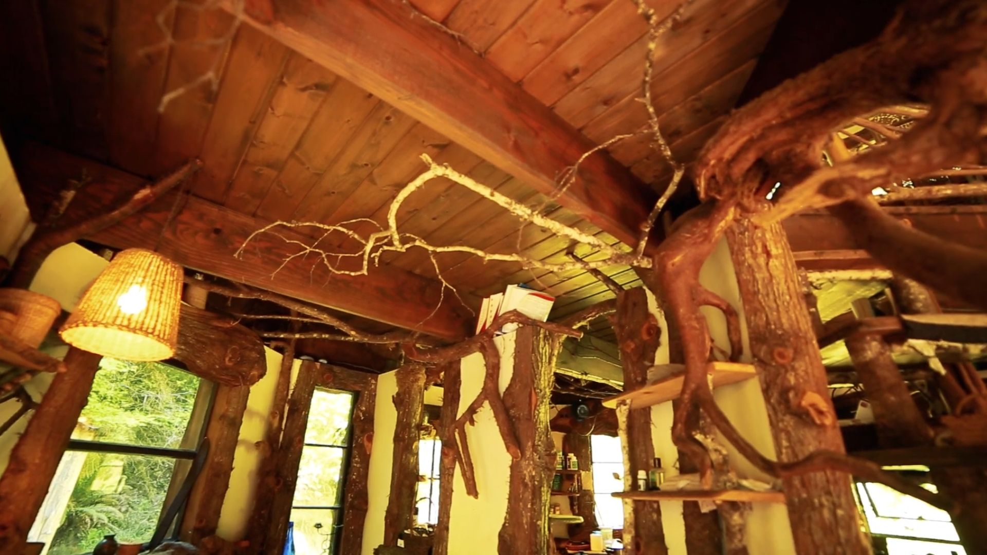 ceiling in the cabin with tree branches and roots