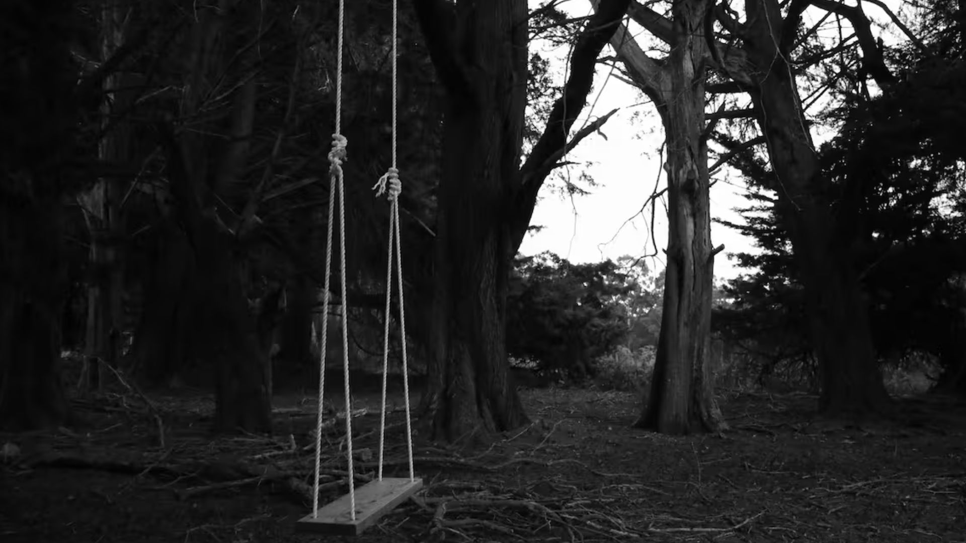 vlack and white photo of a classic swing