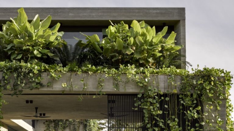 Modern House By The River Is Essentially Heaven On Earth