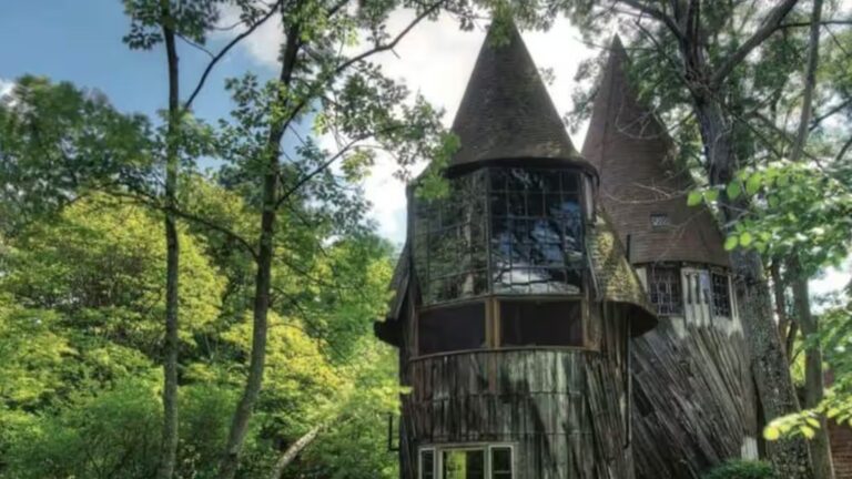 exterior of a round cabin surrounded by greenery