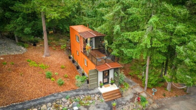 exterior of a shipping container in the woods