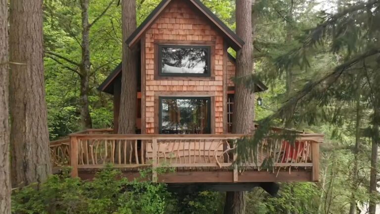 exterior of a wooden treehouse