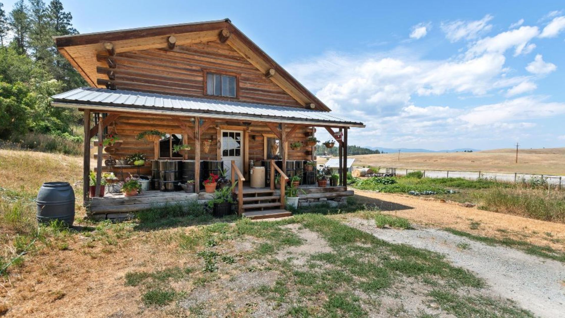 lovely log cabin in a sunny day