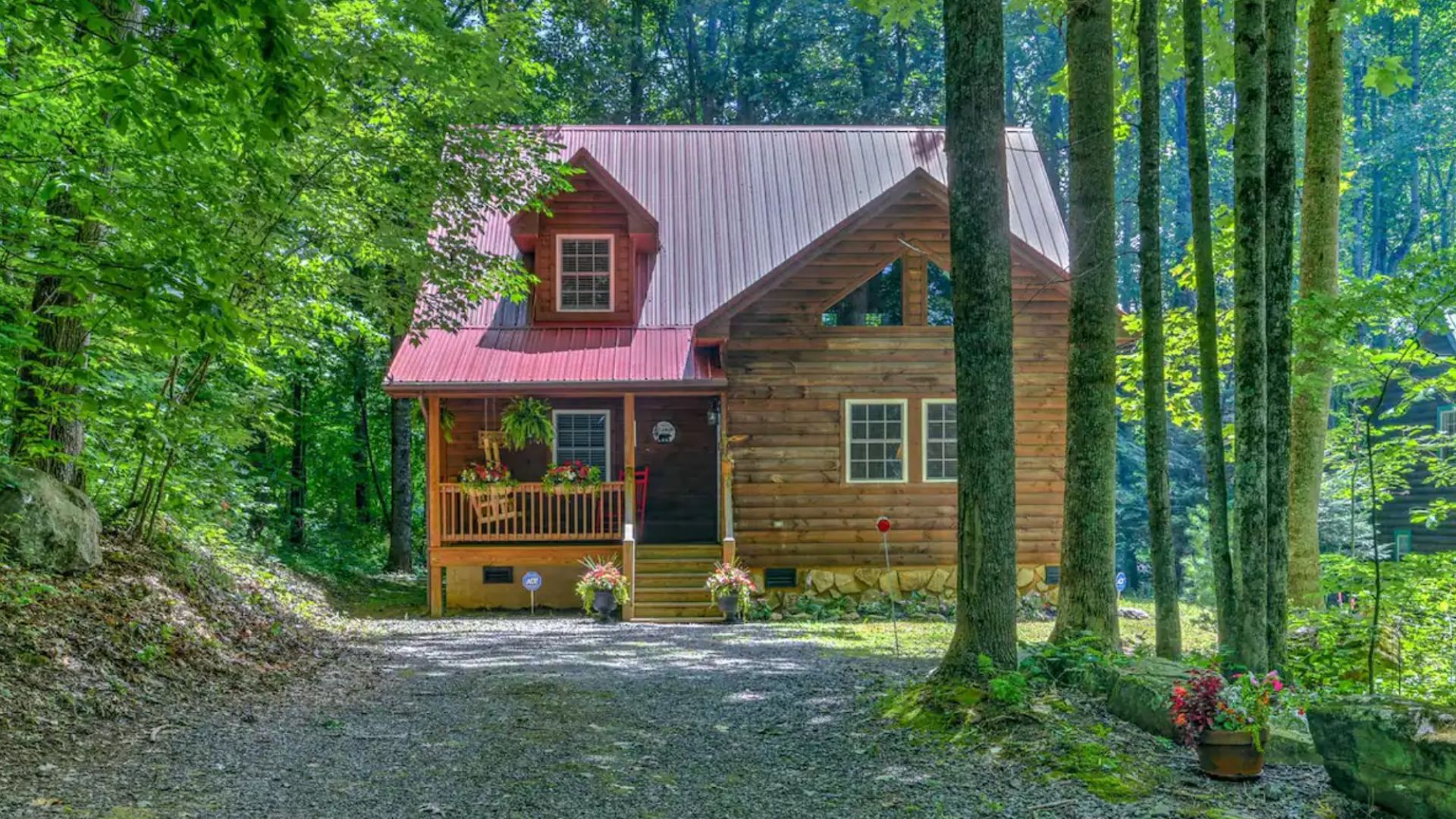 wooden cabins among the trees