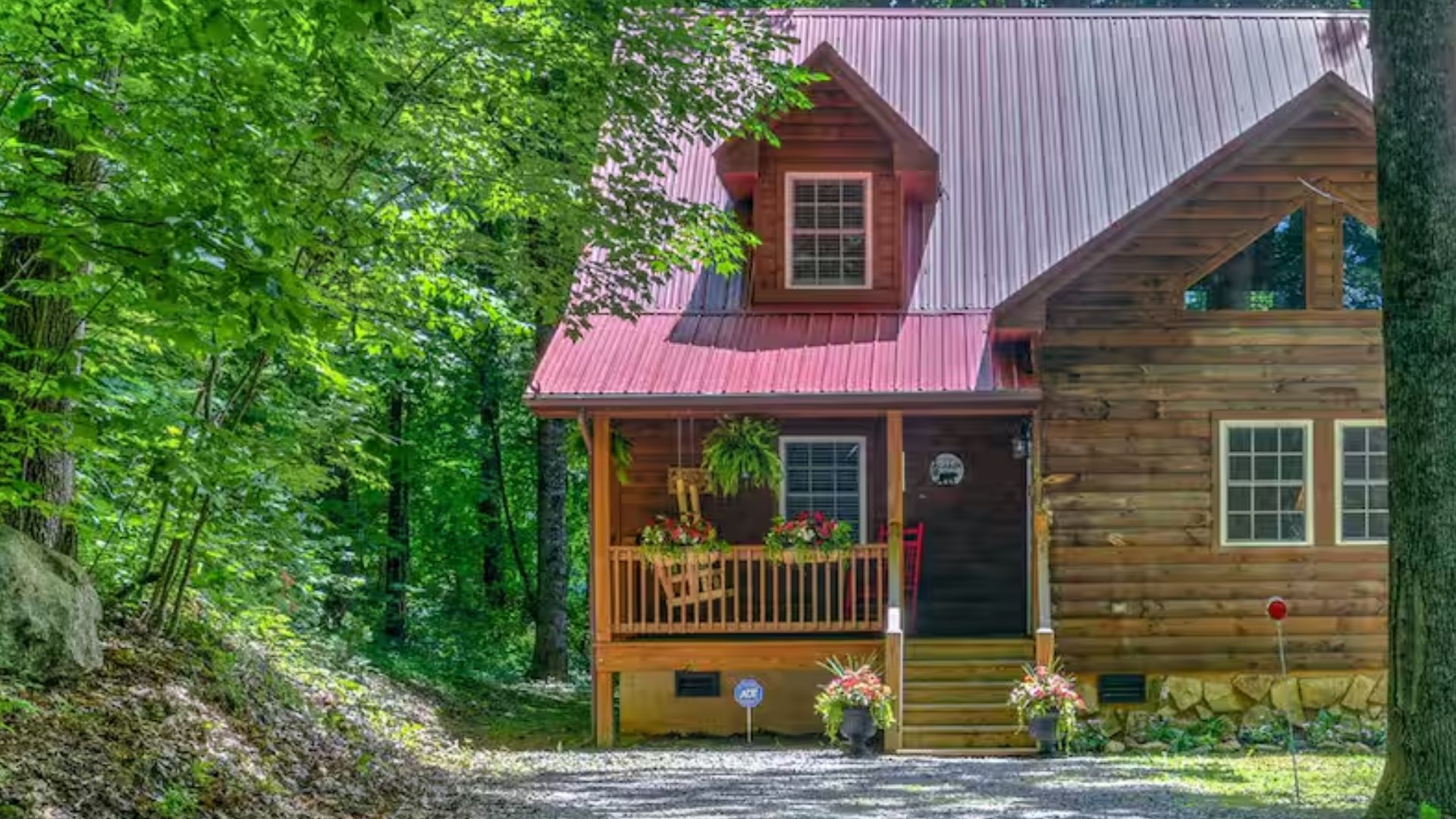 wooden cabins among the trees