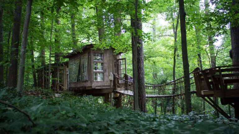 fairytale treehouse