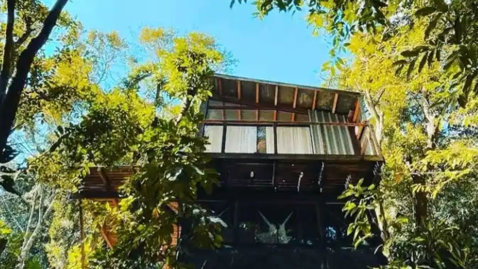 exterior of a container house surrounded by greenery