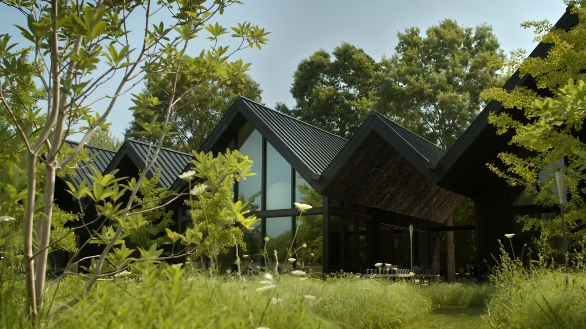 exterior of a modern house surrounded by greenery