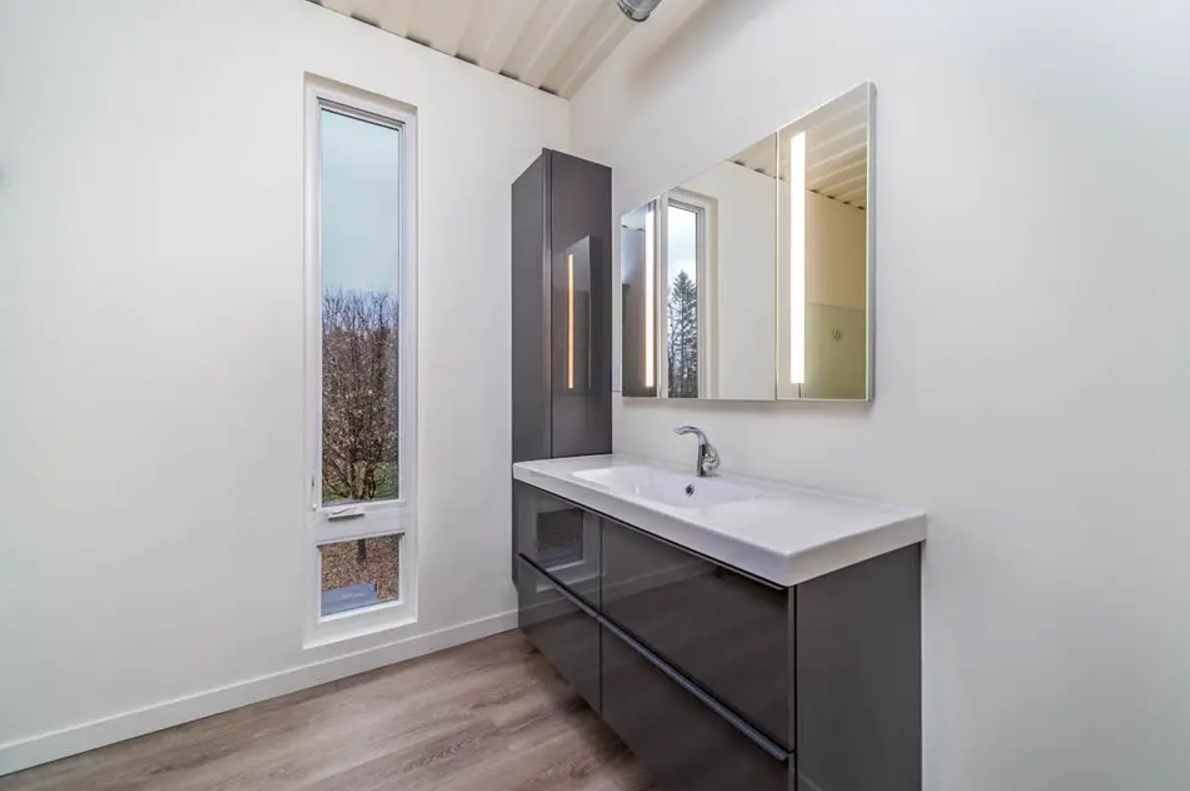 bathroom with one cabinet and a white countertop with a mirror above