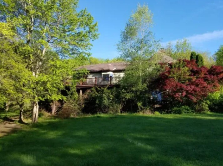 exterior of the home covered in trees before renovation