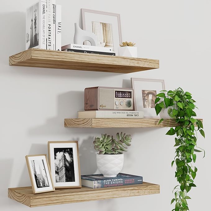 floating shelves with books and plants on top of them