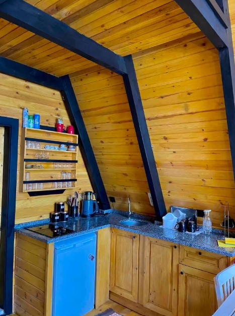 kitchen with wooden cabinets and wooden walls and open shells