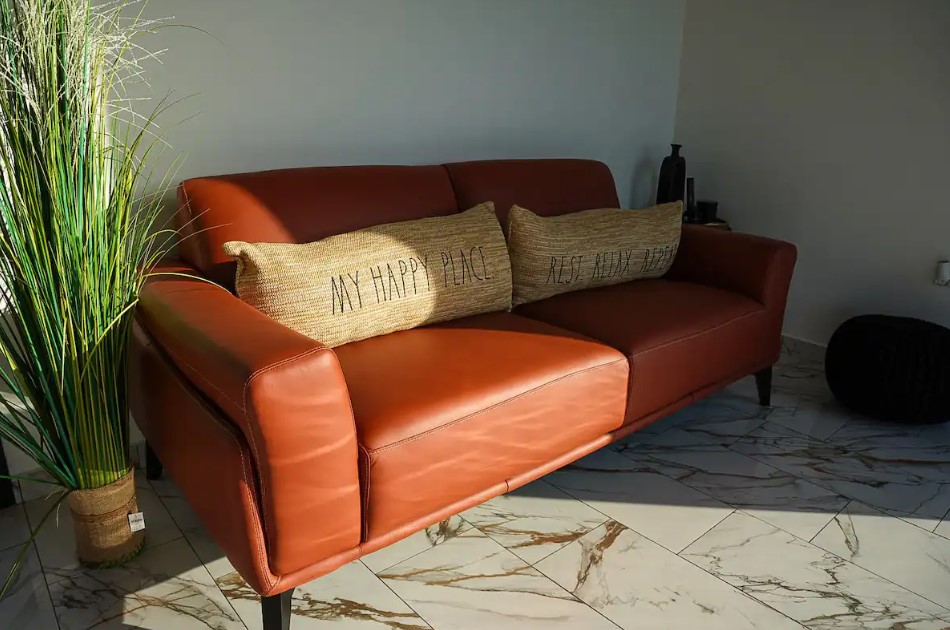 orange couch with two pillows and a plant