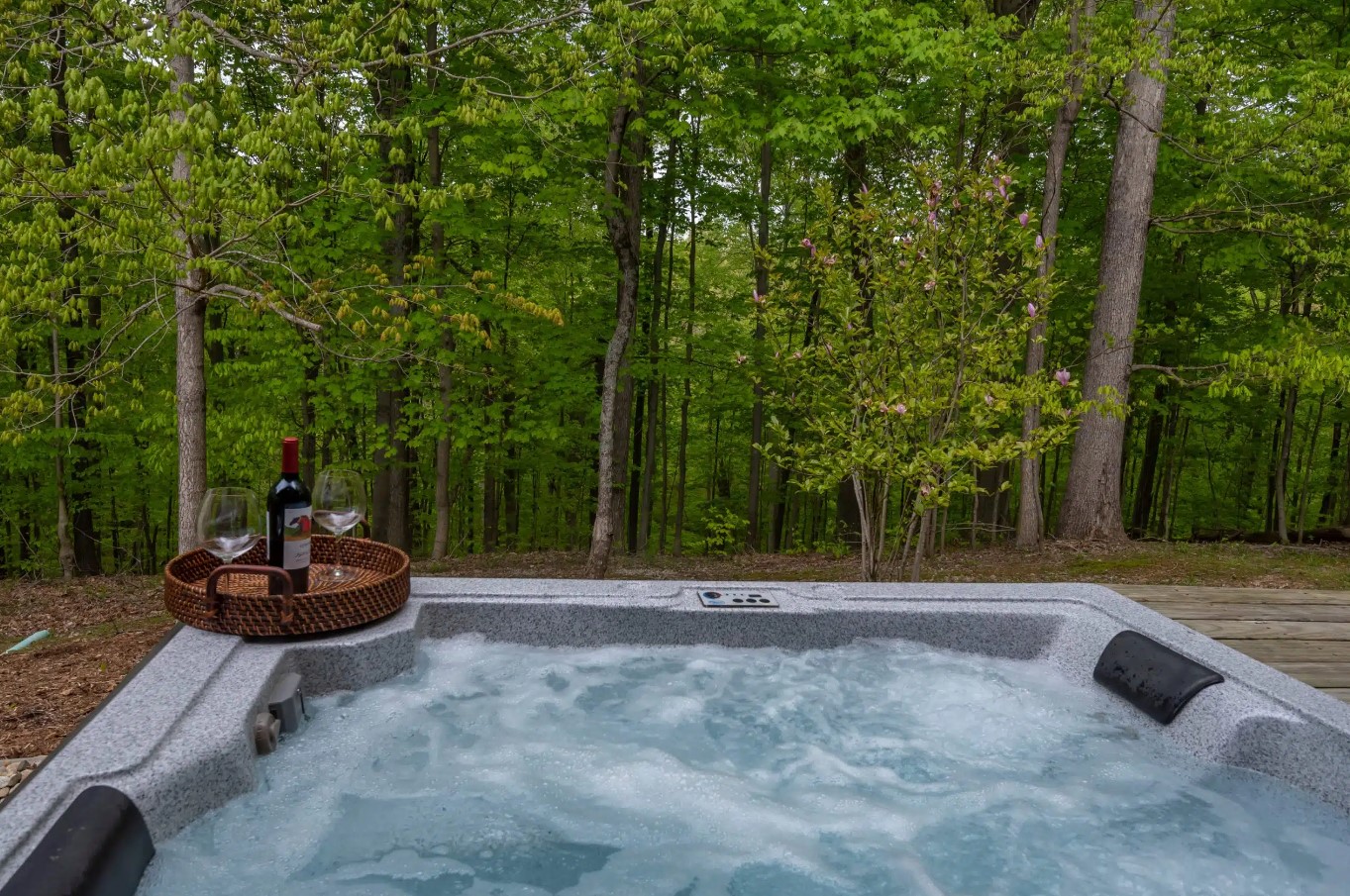 outdoors hot tub surrounded by greenery