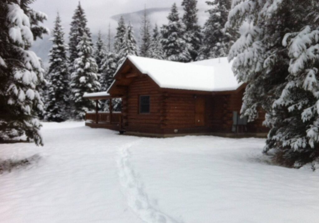 Snow covered log cabin in the woods