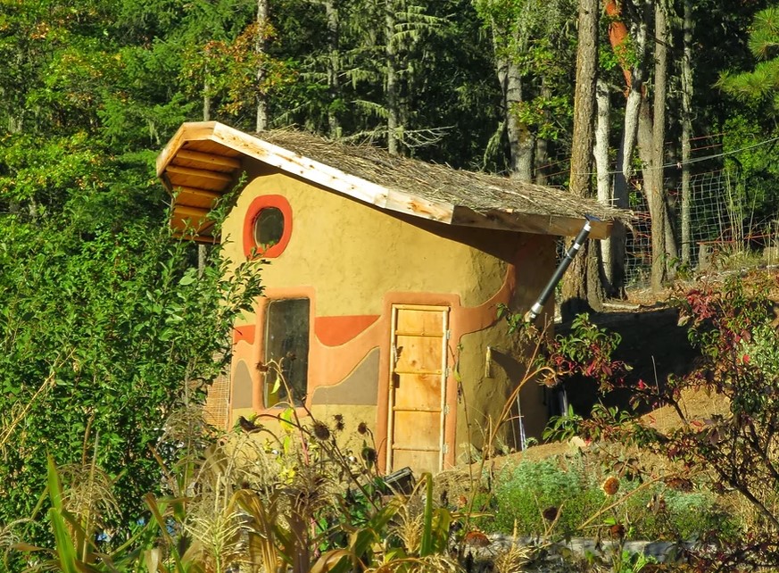 exterior of a tiny yellow home surrounded by greenery