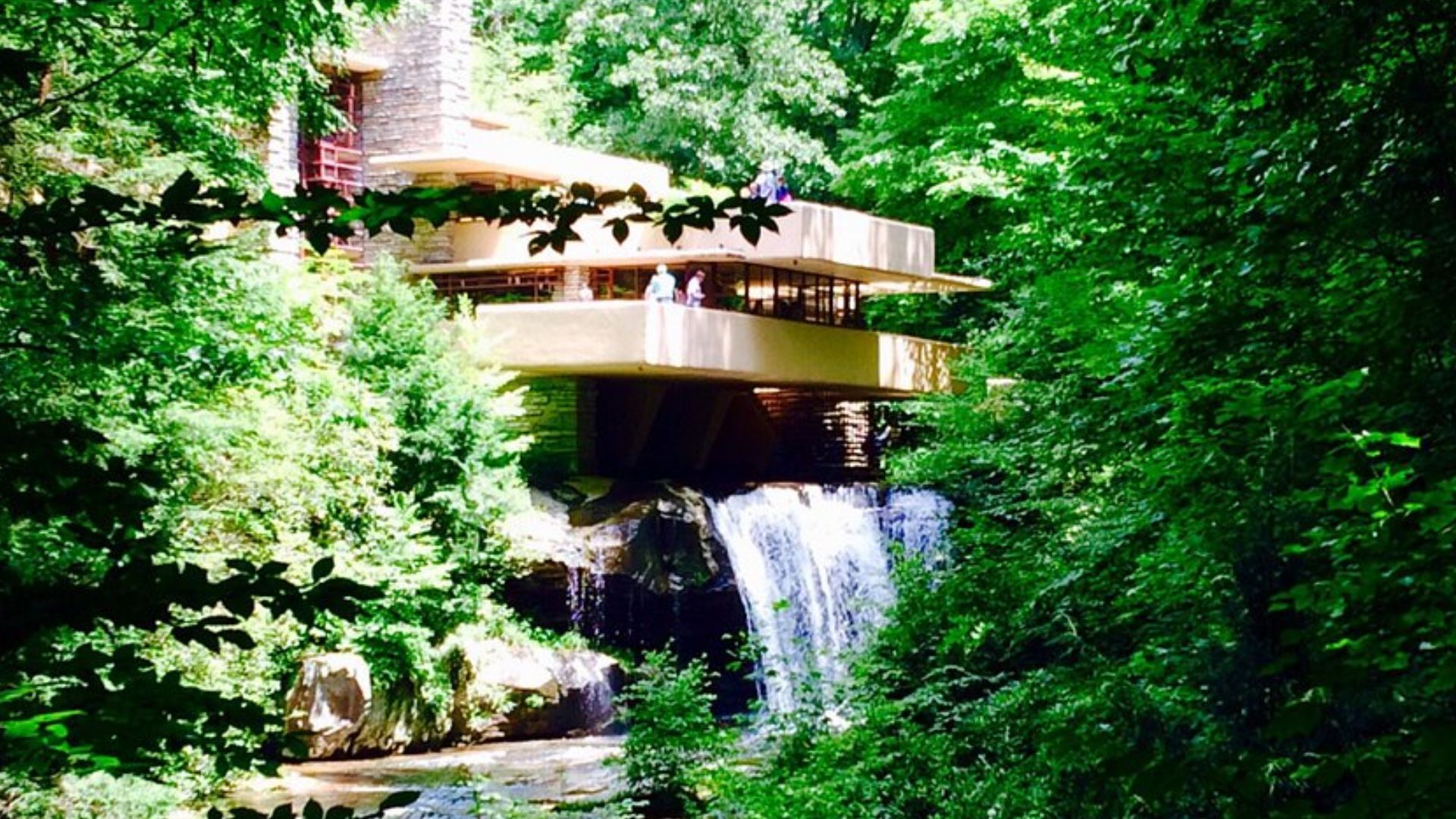 fallingwater house