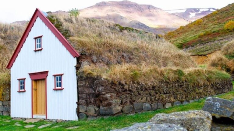 house covered in moss