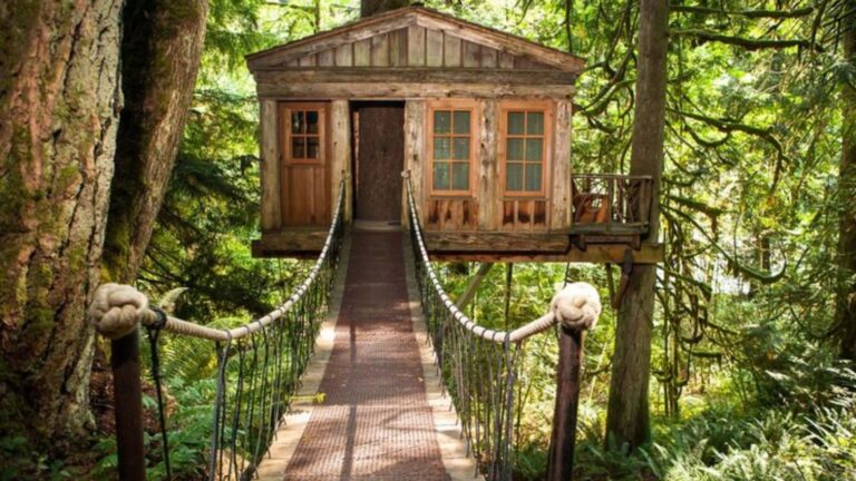 stunning treetop house