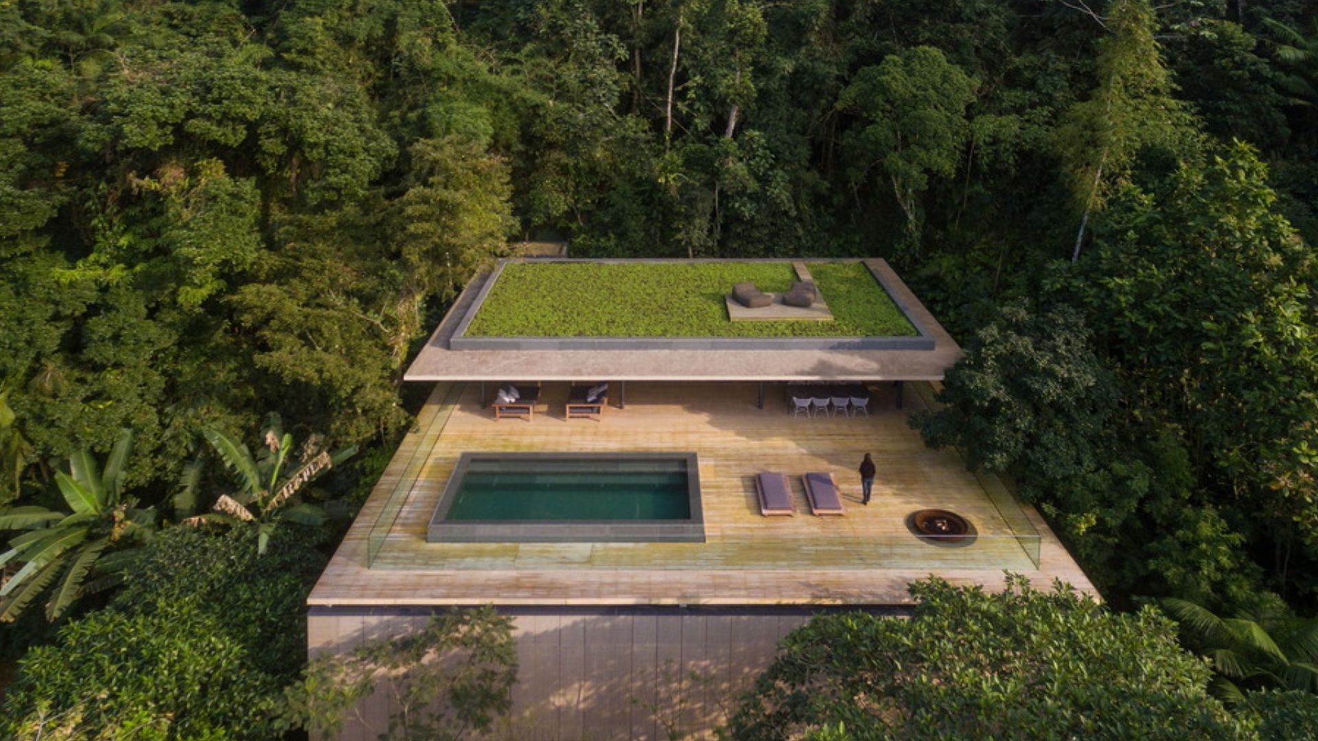 jungle house surrounded by jungle