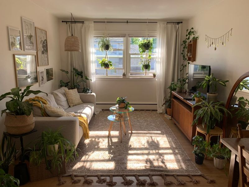 Add Greenery in your small living room