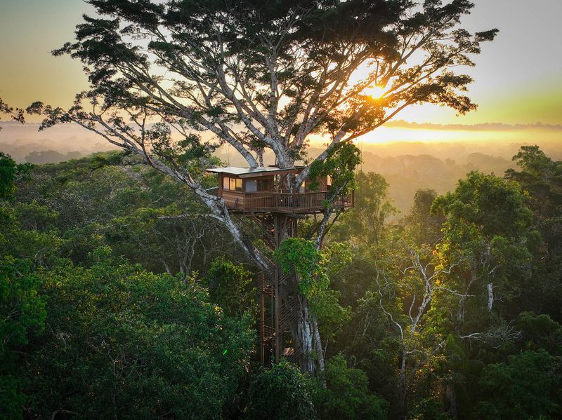 Amazon Rainforest Treehouse, Brazil