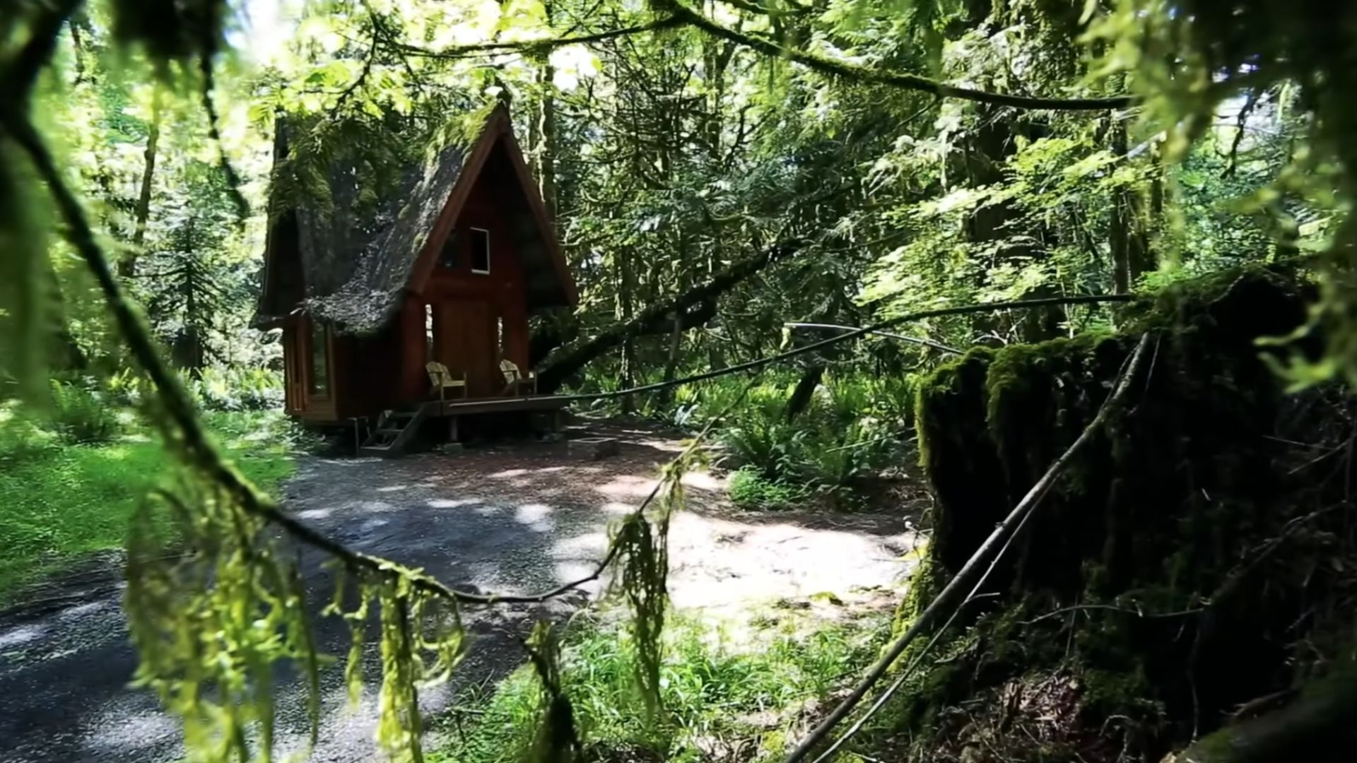 tiny woodland house, exterior covered in red wood planks, and roof covered with moss, surrounded by trees and greenery on all sides