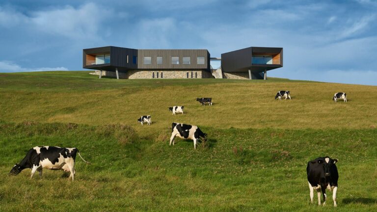 Discover This Award-Winning Modern Marvel Redefining Architecture And Captivating Hearts