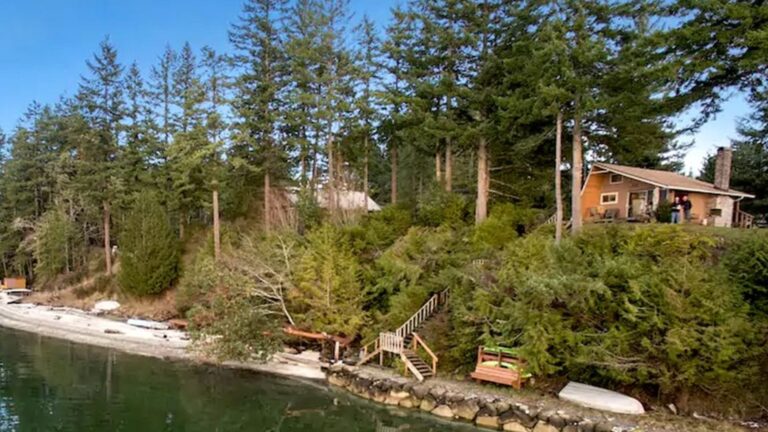 Discover This Beach Cabin with Views So Epic, They Feel Out of This World