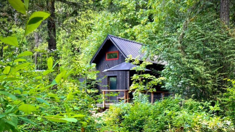 exterior of the wolf den black cabin with a small porch and a hot tub on the left, photo taken in spring