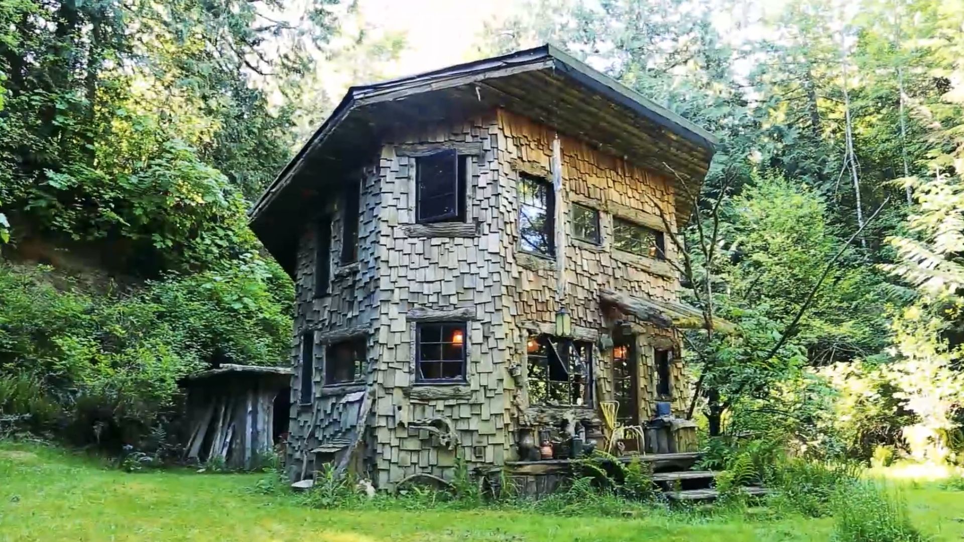 circular cabin home inside a tree trunk