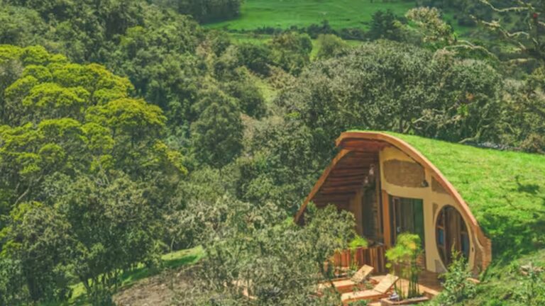 underground house covered with grass