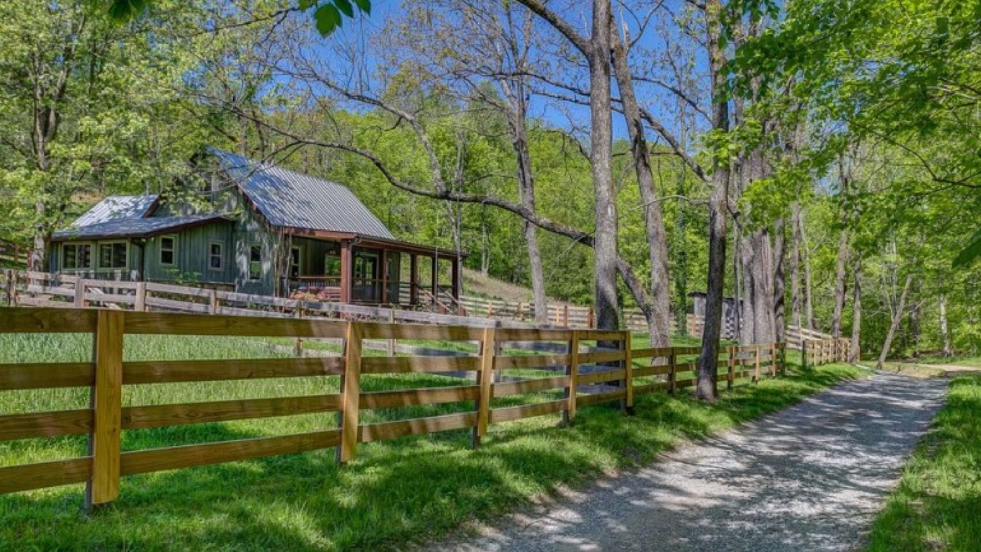 exterior of a lovely rustic cabin surrounded by greenery