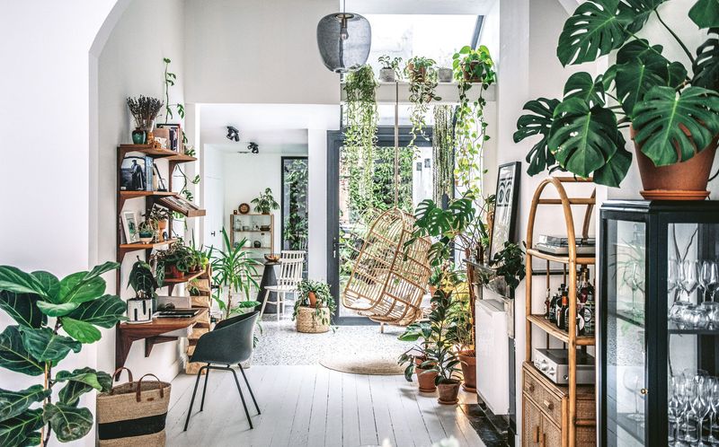 Incorporate Indoor Plants