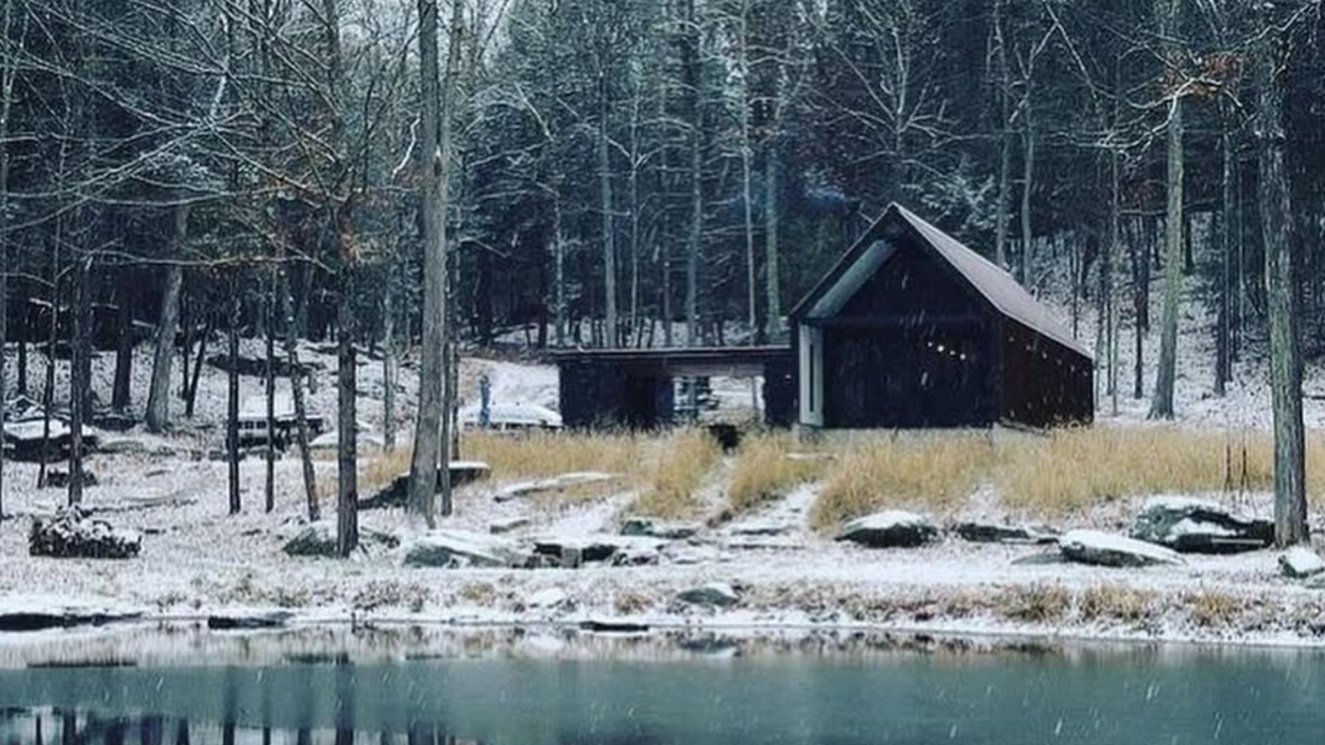 cozy cabin near the pond in the woods