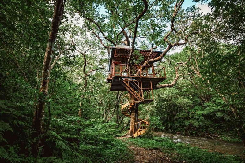 Kyoto Treehouse, Japan