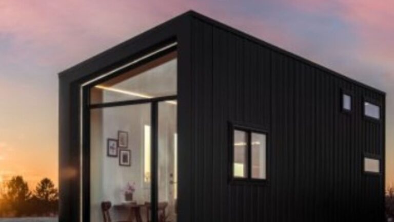 Luxurious black tiny home with a sleek design