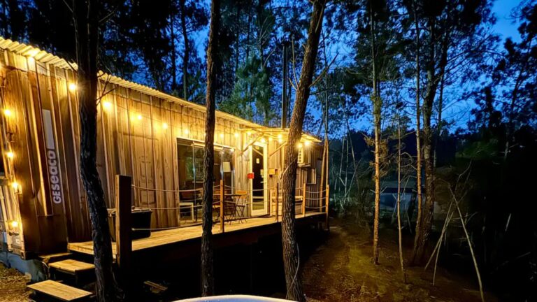 Presenting You A Magical Container In The Woods That Will Make You Forget About WiFi For Good