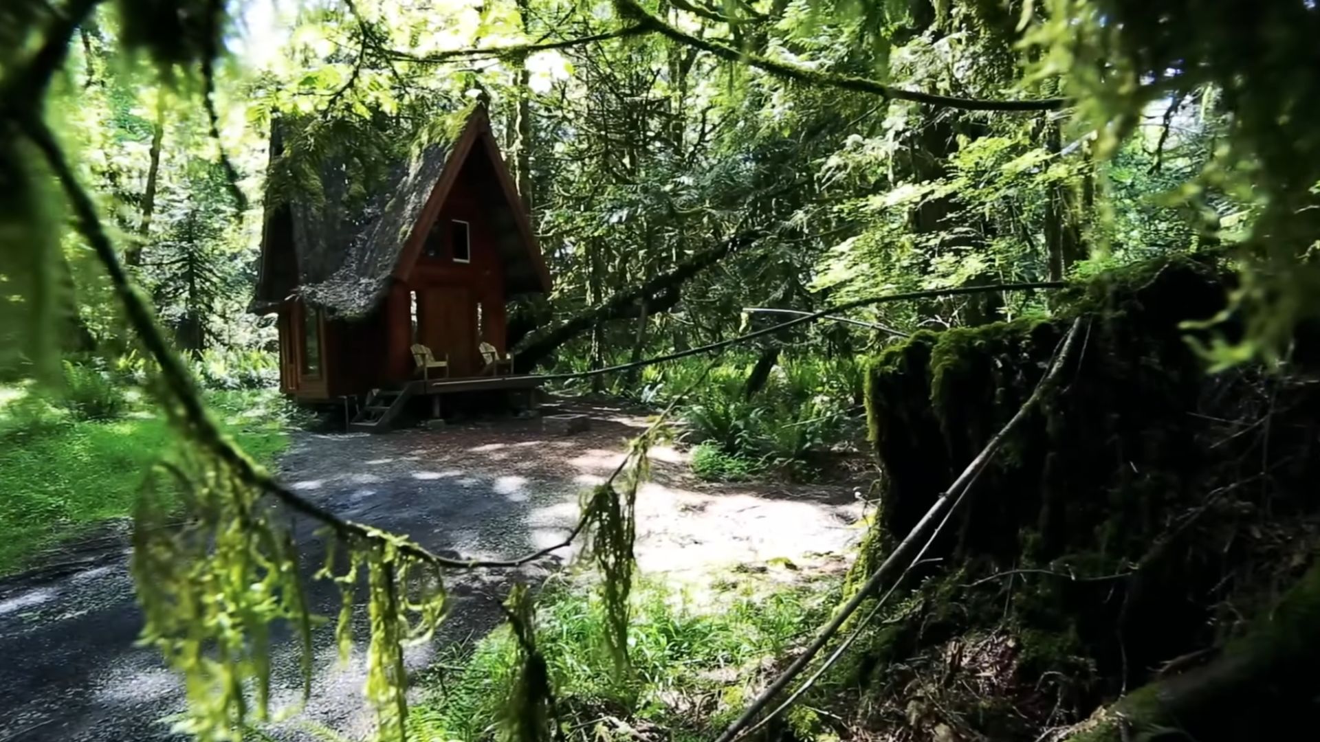 tiny woodland house, exterior covered in red wood planks, and roof covered with moss, surrounded by trees and greenery on all sides