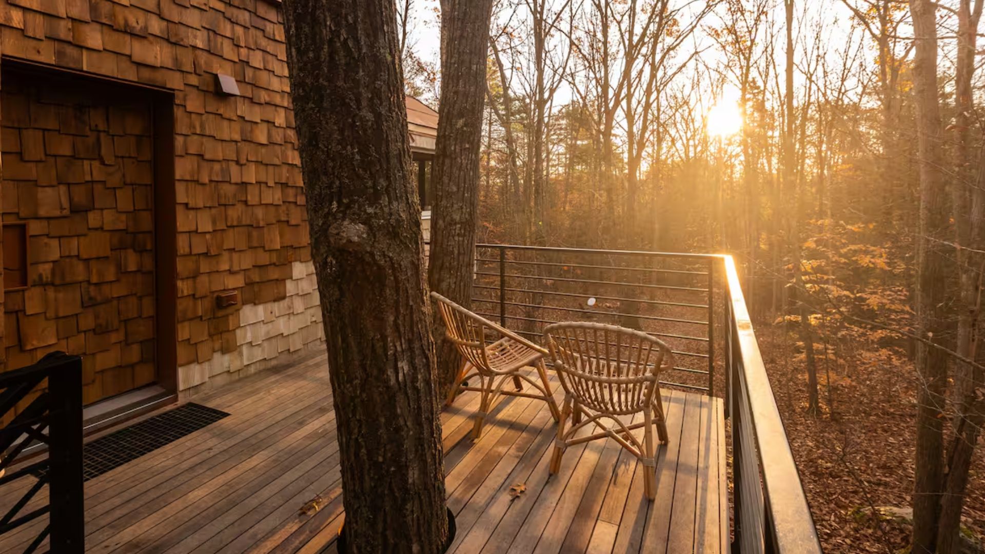 deck with two trees