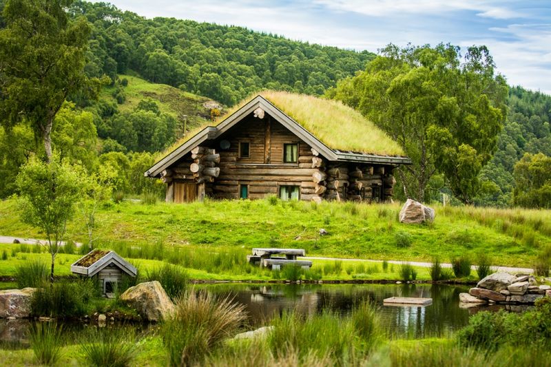 The Hermitage Cabin