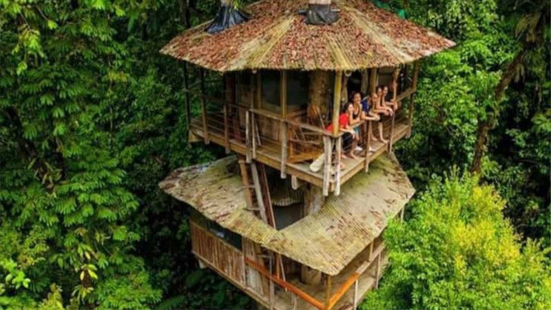 The Jungle Treehouse, Costa Rica