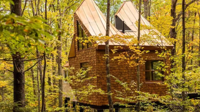 unusual treehouse shaped like a fox head with same colors as the fox, copper roof, and ears, windows strategically placed to remind of a real animal