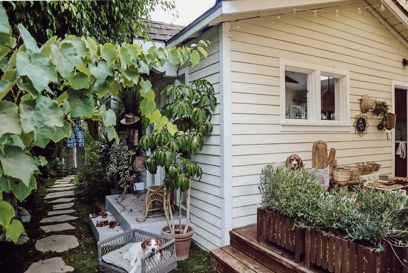 The Tiny Canal Cottage