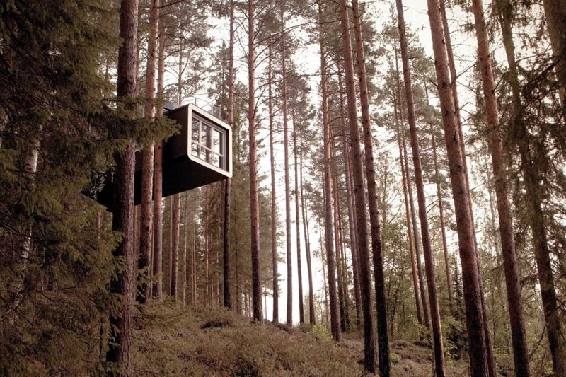 The Treehouse at Basecamp Bonn